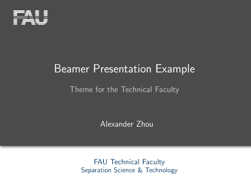 专为 Technical Faculty of the FAU Erlangen 定制的 beamer 主题