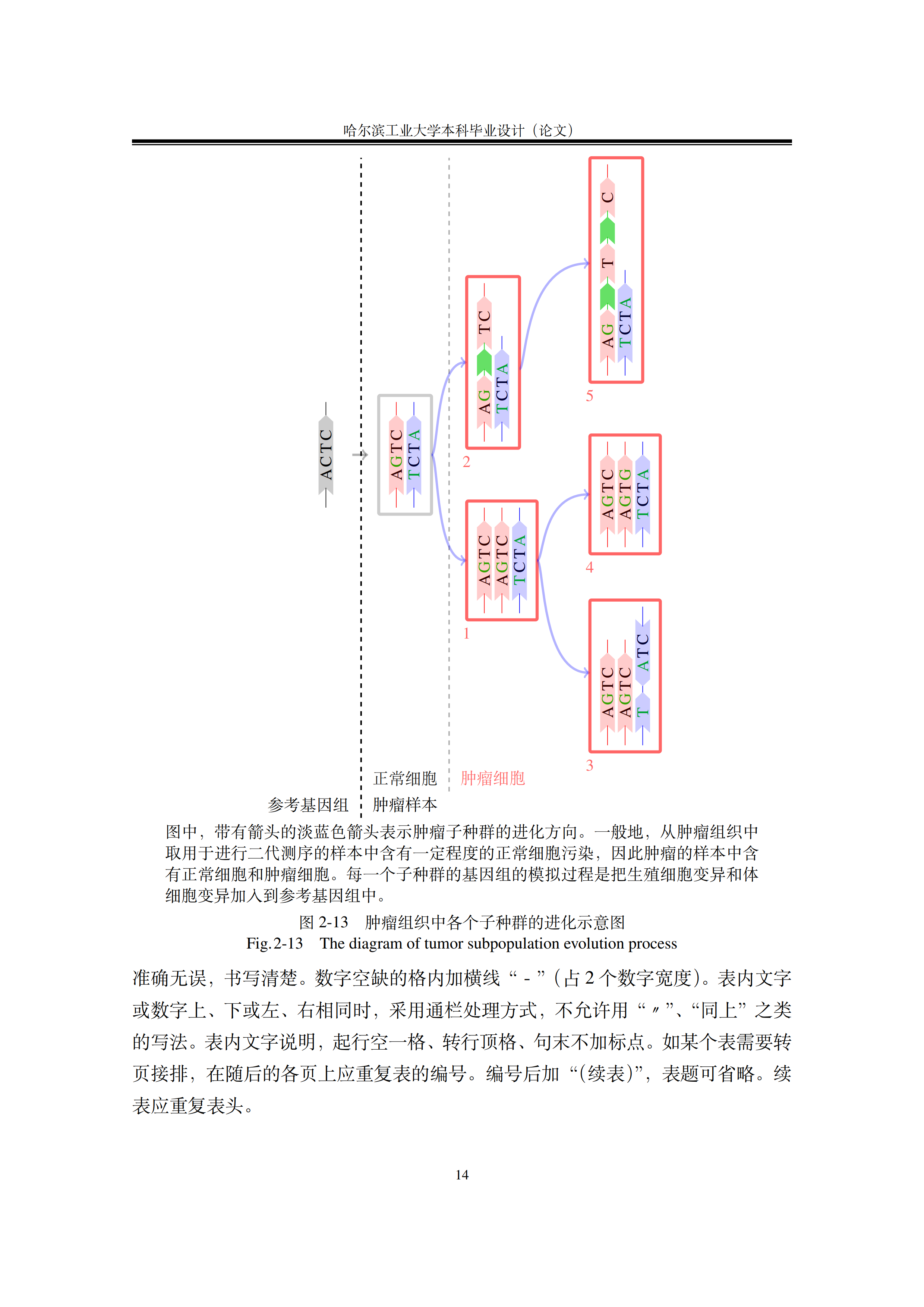 哈尔滨工业大学毕业论文 LaTeX 模板